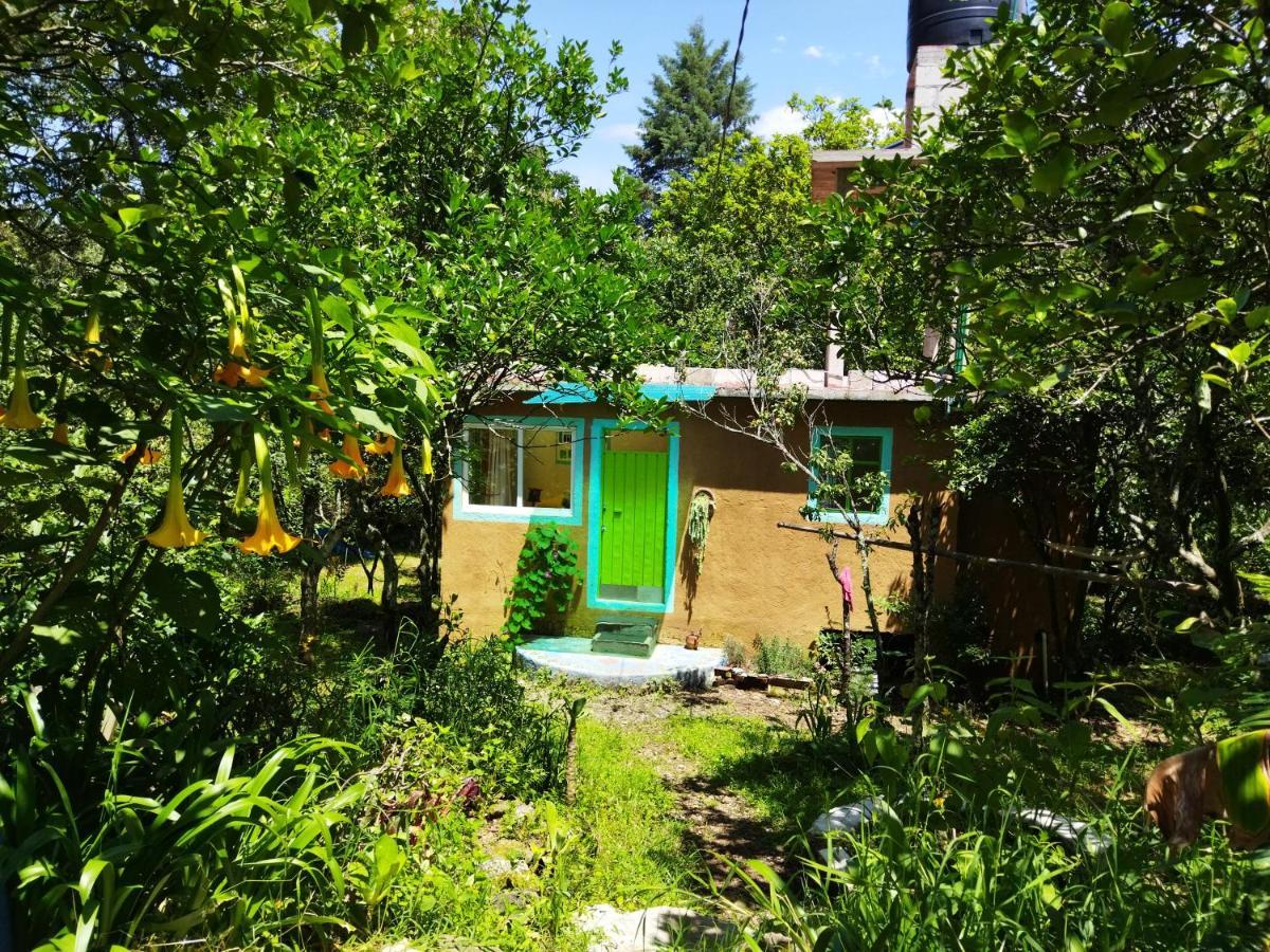 Apartmán Casa Ecologica Tepoztlán Exteriér fotografie