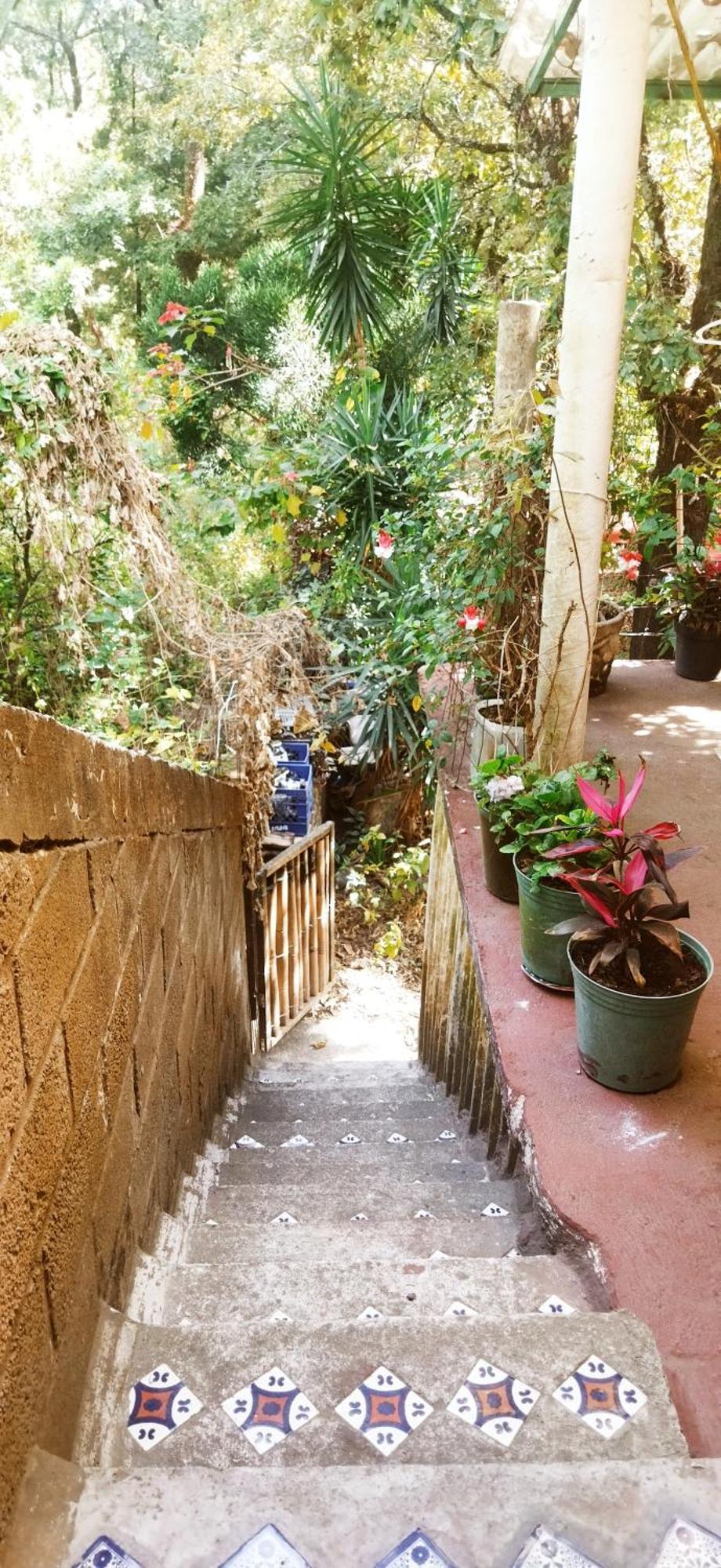 Apartmán Casa Ecologica Tepoztlán Exteriér fotografie