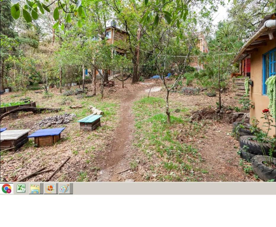 Apartmán Casa Ecologica Tepoztlán Exteriér fotografie