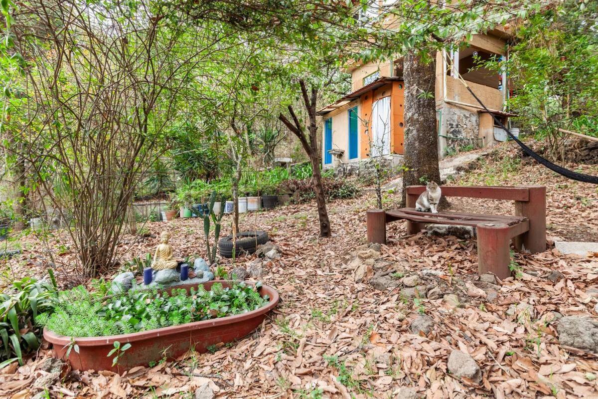 Apartmán Casa Ecologica Tepoztlán Exteriér fotografie